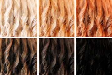 Set of hair colors, different tints