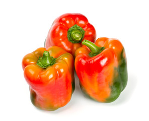 paprika isolated on white
