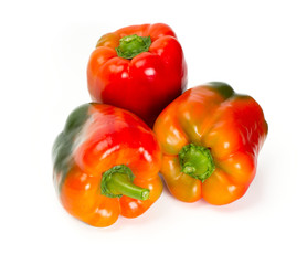 paprika isolated on white
