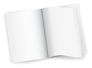 magazine book blank
