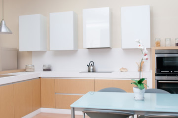 Obraz na płótnie Canvas modern kitchen in a modern house