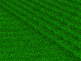 Fototapeta na wymiar staircase from grass. 3D image