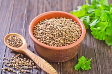 coriander