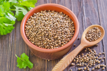 coriander