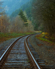 Fototapeta premium model