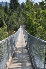 Walking Suspension bridge