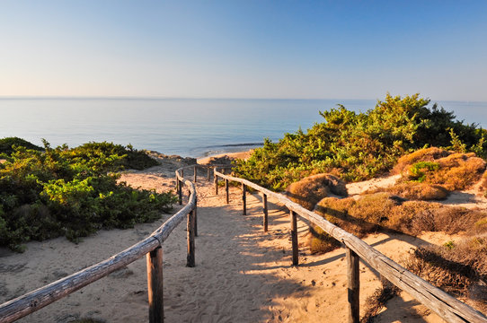 DUNE DI CAMPOMARINO, PUGLIA. ITALIA