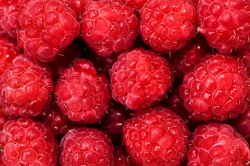 Fresh organic raspberry, bio-fruits from local farm and garden