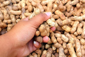 Peanut