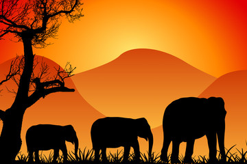 Fototapeta na wymiar African Wildlife Background. Nature Background Series