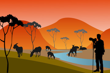 The african safari