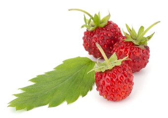 Wild strawberry isolated on white background