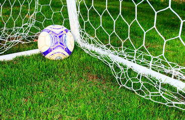 Soccer football field stadium grass  background texture