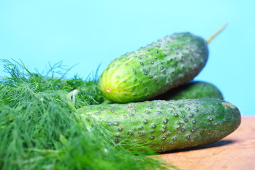 bunch fresh dill and cucumbers on wooden table