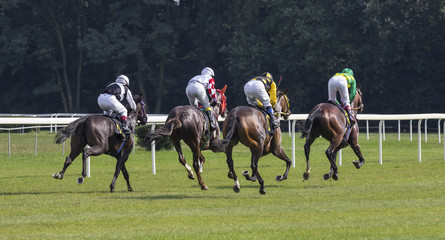 Horse racing