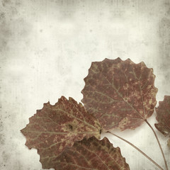 textured old paper background with