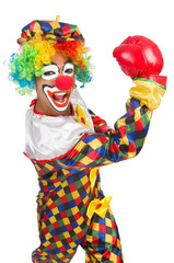 Clown with boxing gloves isolated on white