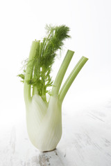 Fennel isolated over white.
