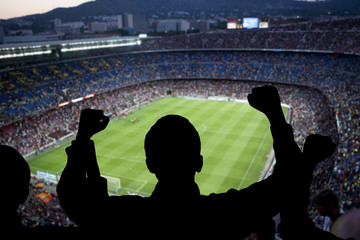 Happy soccer fans © Andrey Burmakin