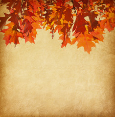 Naklejka na ściany i meble old paper with orange autumn leaves