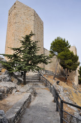 Fototapeta premium Santa Catalina castle, Jaen (Spain)
