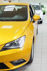 New yellow, white and green shining cars stand in office of car