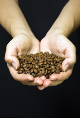Young girl hands holding coffee beans