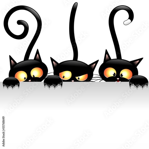 Funny Cats Cartoon With Panel Gatti Buffi Con Pannello Stock Image