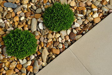 Landscape outdoor garden design
