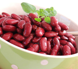 Kidneybohnen