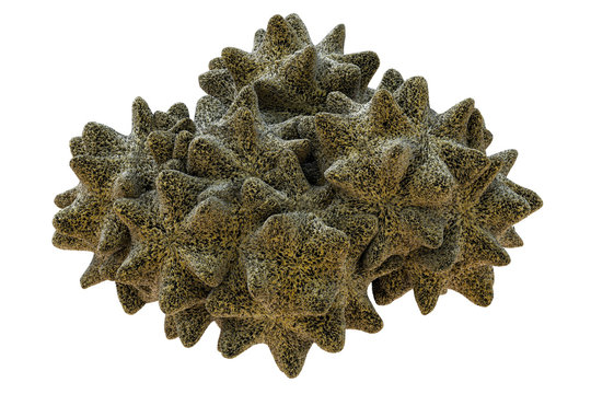 Korallen - isoliert - 3d Render
