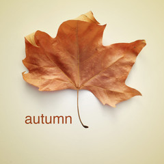 autumn