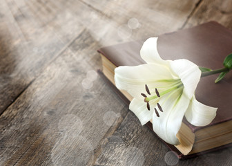 White lily on the book - 55778609