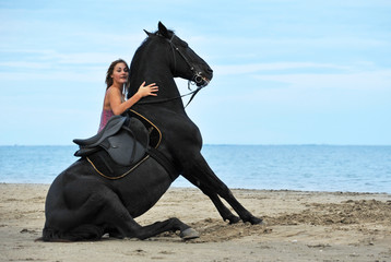sitting horse on the beach