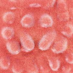 Darmzotten - 3d Render