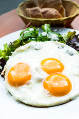 Prepared Egg
