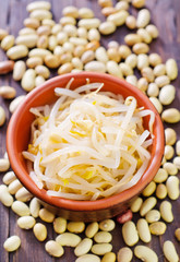 sprouts