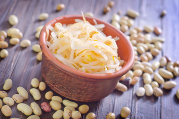 sprouts