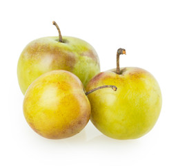 plum