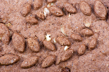 Cookies with chocolate