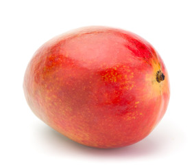 Fototapeta premium ripe mango