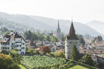 Fototapeta na wymiar Pociąg, winnice i Stare Miasto z Kapuzinerturm, Szwajcaria