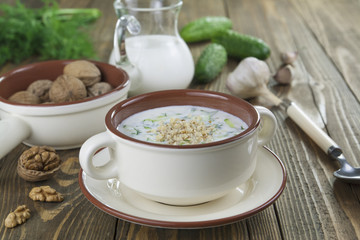 Tarator, bulgarian sour milk soup