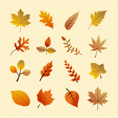 Vintage autumn season tree leaves set. EPS10 file.