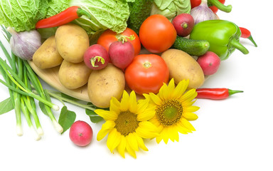 vegetables and sunflowers on a white background. horizontal phot