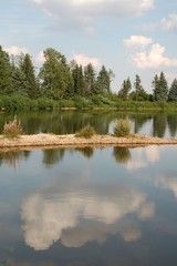 Spiegelung am See