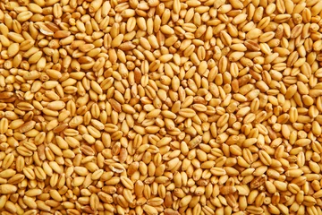 Plexiglas foto achterwand Wheat grains © Bits and Splits