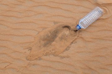 bottle in the desert