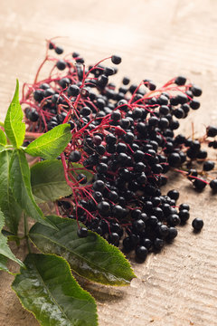 Elderberry on wooden table