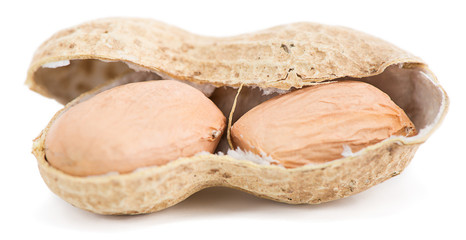 Groundnut close-up isolated on white background